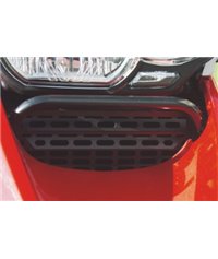 Oil cooler protection BMW R 1200 GS/Adventure up to 2012 black