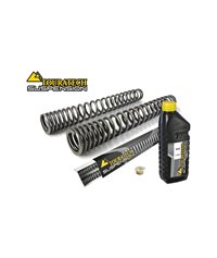 Progressive fork springs for BMW F700GS from 2013