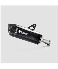 Exhaust Akrapovic slip-on, Titan, black for BMW R1250GS / R1250GS Adventure from 2019