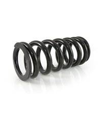 Progressive replacement springs for front and rear shock absorber BMW R1150GS 1999-2003 "Original BMW shocks"