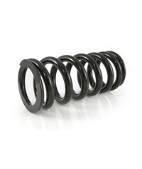 Progressive replacement springs for front and rear shock absorber BMW R1150GS Adventure 2002-2005 "Original BMW shocks"