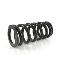 Progressive replacement springs for front and rear shock absorber BMW R1200GS Adventure ESA 2007-2010 „BMW Original shocks Showa