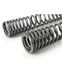 Progressive replacement springs for fork and shock absorber, for Tiger 900 Rally / Rally Pro (2020-2021)