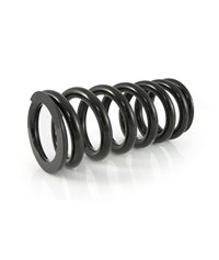 Progressive replacement springs for fork and shock absorber, for Tiger 900 Rally / Rally Pro (2020-2021)