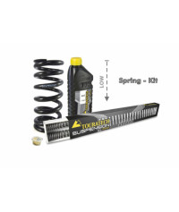 Touratech Suspension...