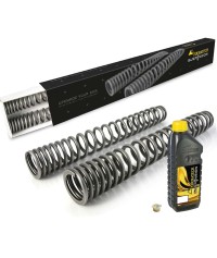 Progressive fork springs...